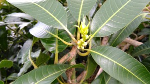 IMG_20160125_112649