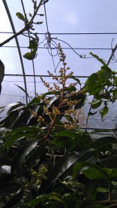 IMG_20160302_112611