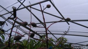 IMG_20160423_160724